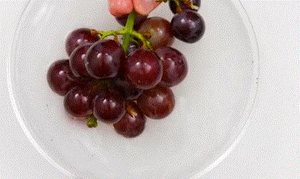 葡萄种类多吃哪种葡萄最好,怎样洗葡萄葡萄才会更好吃