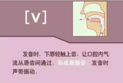 48个英语音标正确读法视频教学,英语48个音标正确发音顺口溜表