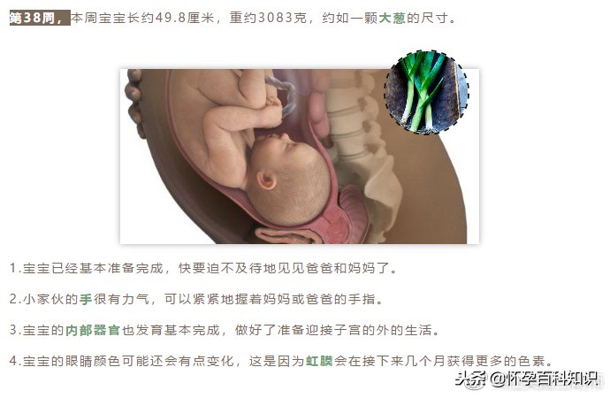 怀孕各个时期胎儿发育过程,怀孕的过程要几天