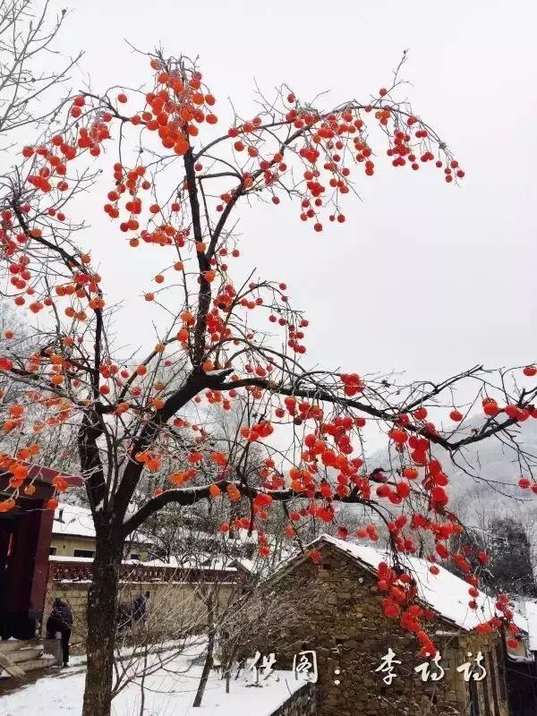 安泰到底好不好,安泰有什么特点