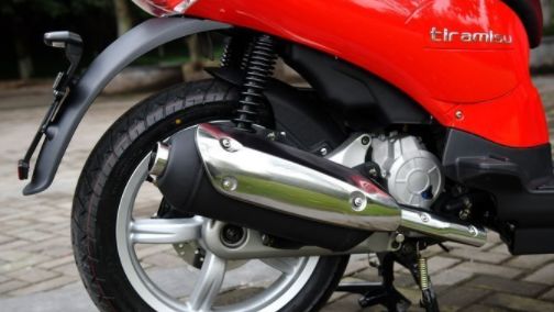 金城圣甲虫出口,金城圣甲虫200座高