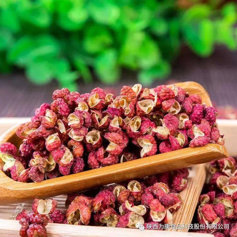 韩城大红袍花椒价格最新,韩城大红袍花椒苗批发