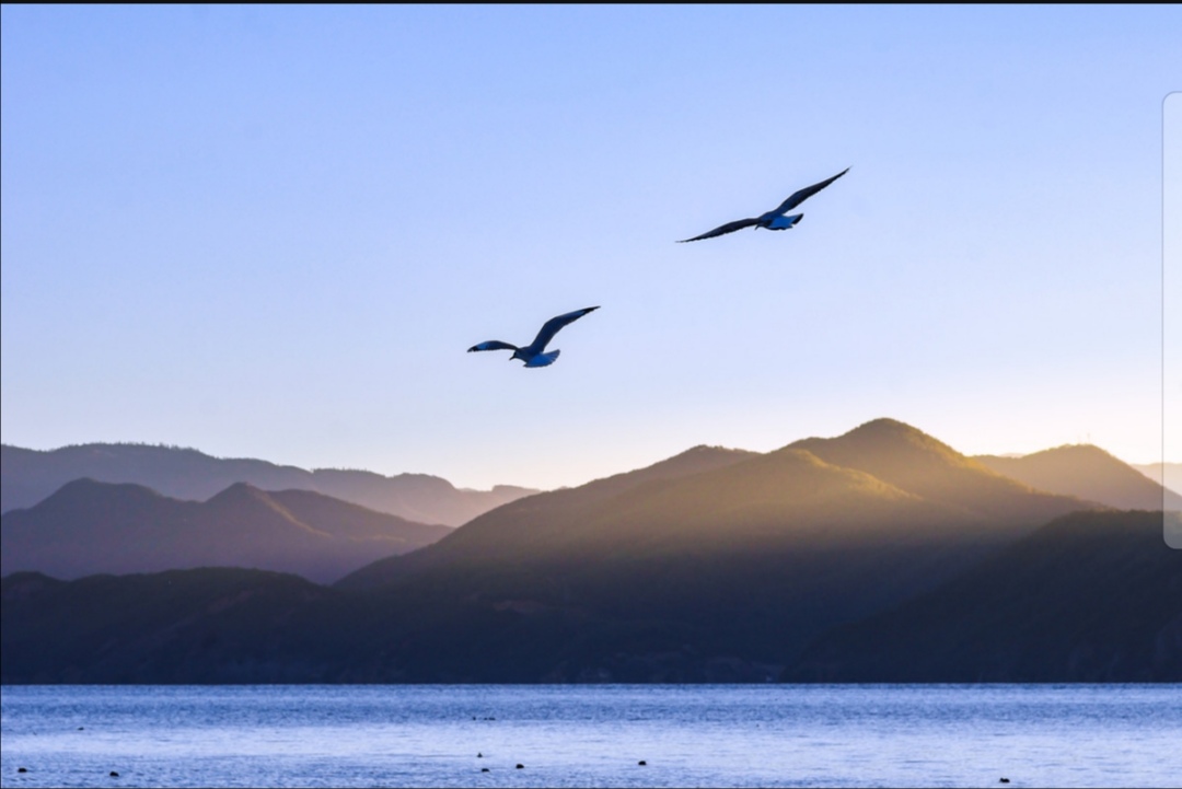 忠忠直直，终须乞食，奸奸狡狡，朝煎晚炒。于谦经典诗词书法作品