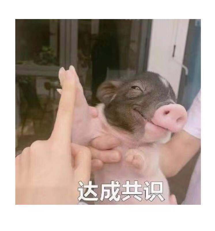 苹果手机输入法换行键怎么设置的,苹果手机自带输入法换行键在哪