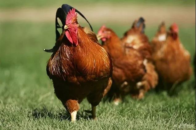 热烈庆祝入住一周年,热烈庆祝入驻新项目祝贺词