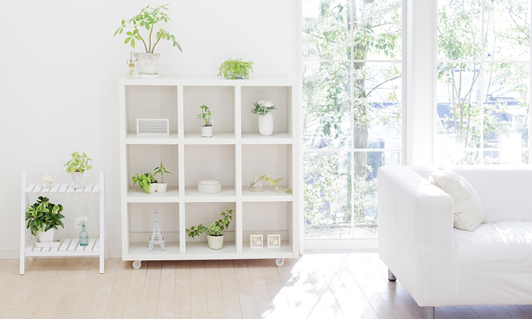 房屋采光差4招告别小黑屋,民宿设计中遇到小黑屋怎么采光