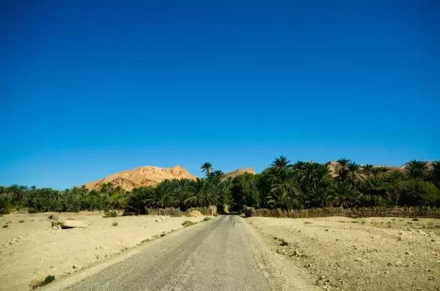 突尼斯是不是地中海,突尼斯一半沙漠