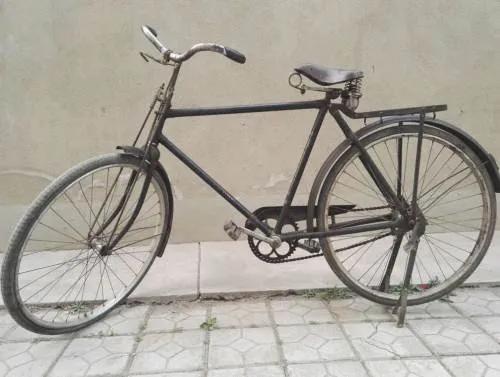 大金鹿自行车原来叫什么名字,大金鹿自行车标志