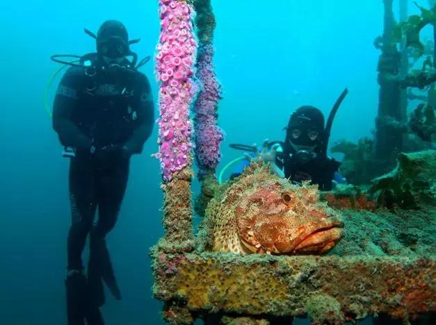 新西兰天堂paradise,新西兰旅游天堂