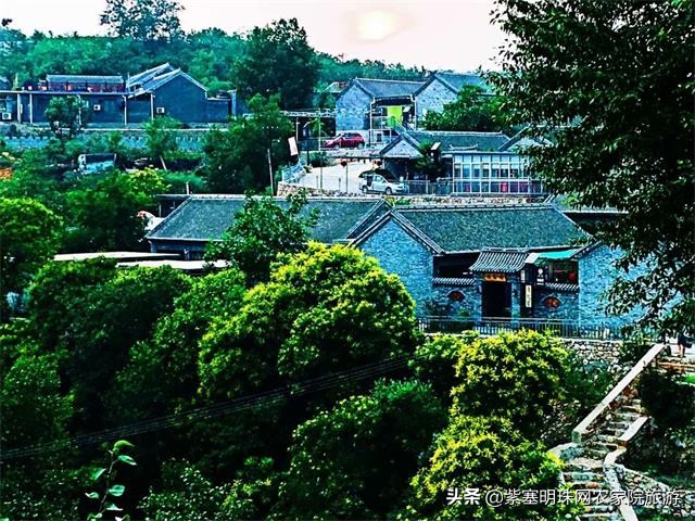 梨木台景林农家院,梨木台景林农家院直播