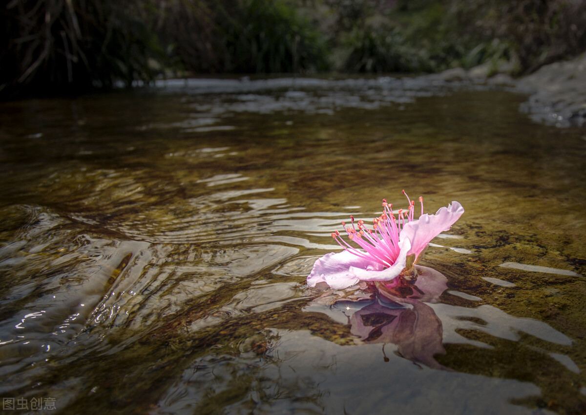 8848创始人王峻涛是哪里人,谁开启了航空时代