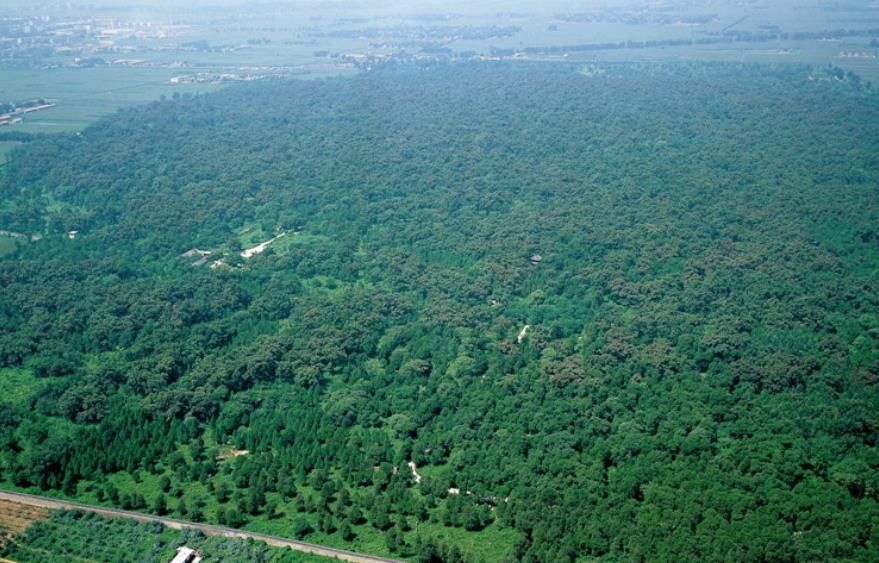 曲阜孔子墓全景,山东曲阜千年古村孔子墓