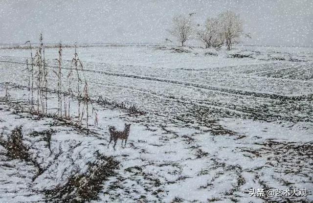 张冬峰油画风景作品欣赏,油画大师张晓刚