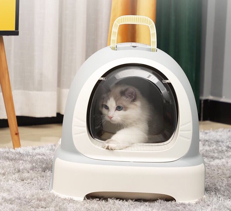 养猫要买什么猫咪用品 (养猫必买哪几样东西)