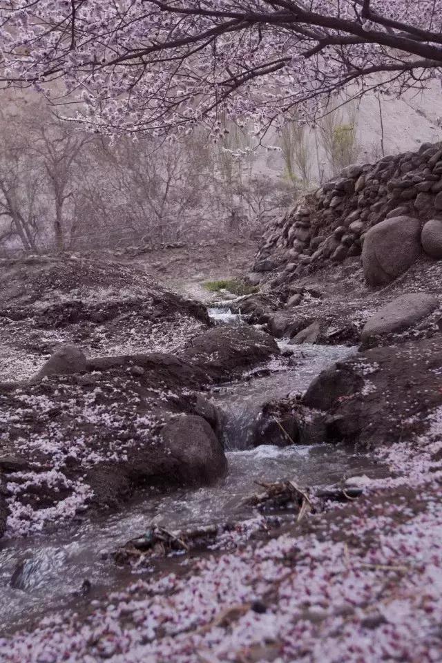 玄奘穿越帕米尔路线,帕米尔高原路线图帕莎古道