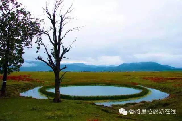 丽江去香格里拉路途中有什么景点,丽江到香格里拉走214国道打卡景点