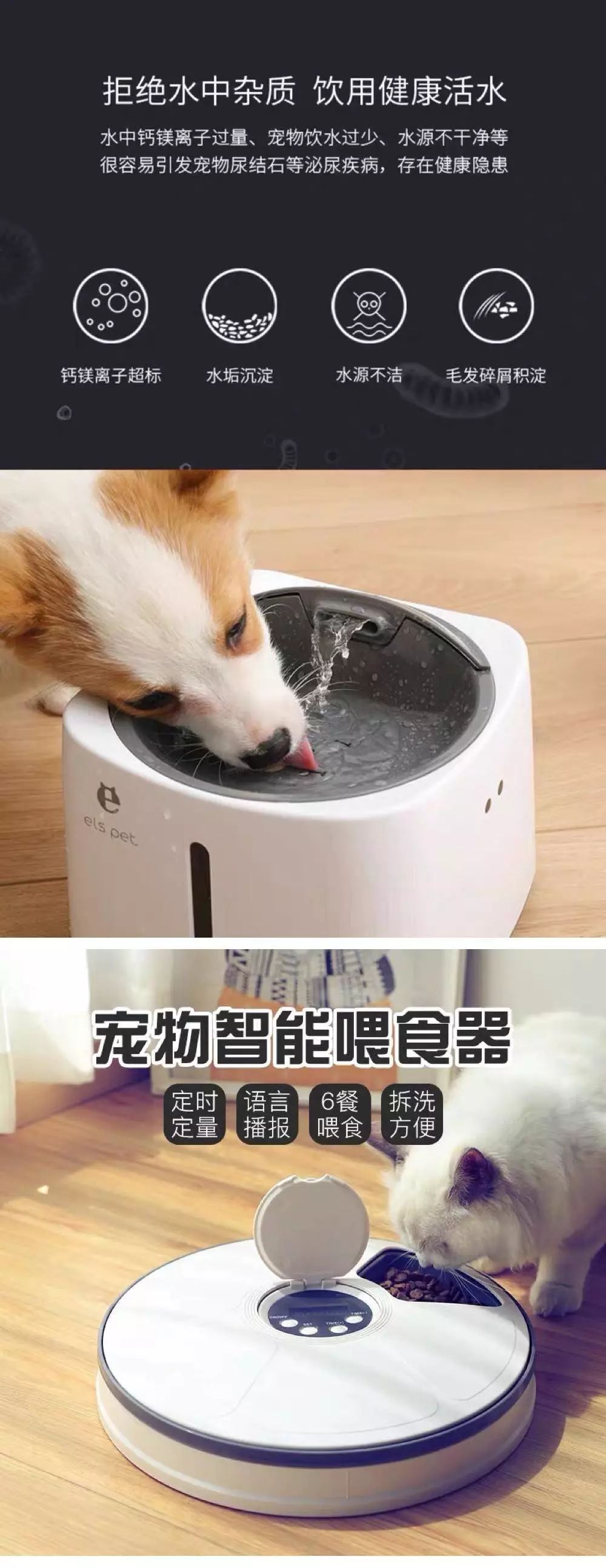 宠物经济剖析,宠物经济如何赚钱