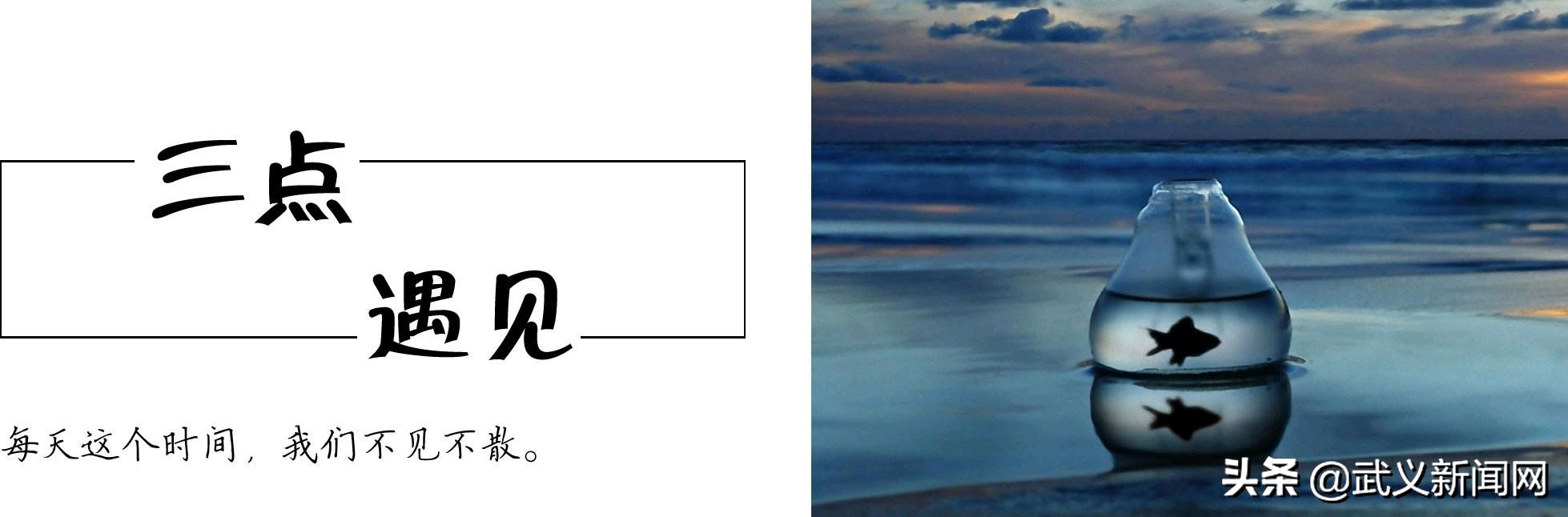 应该了解现任的过去吗,阮孚简介