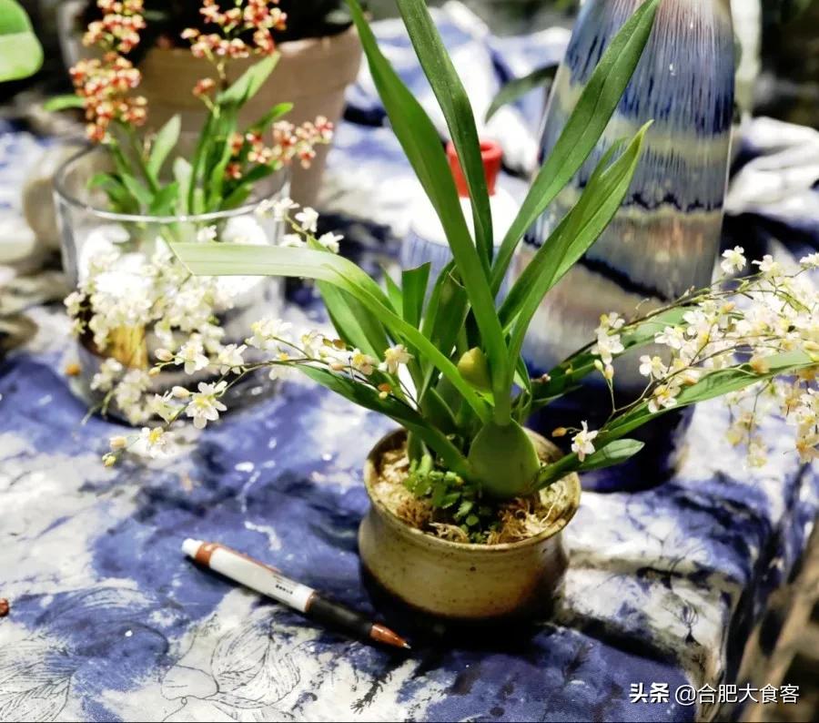 <html>
<head><title>502BadGateway</title></head>
<body>
<center><h1>502BadGateway</h1></center>
<hr><center>nginx</center>
</body>
</html>
<!--apaddingtodisableMSIEandChromefriendlyerrorpage-->
<!--apaddingtodisableMSIEandChromefriendlyerrorpage-->
<!--apaddingtodisableMSIEandChromefriendlyerrorpage-->
<!--apaddingtodisableMSIEandChromefriendlyerrorpage-->
<!--apaddingtodisableMSIEandChromefriendlyerrorpage-->
<!--apaddingtodisableMSIEandChromefriendlyerrorpage-->
