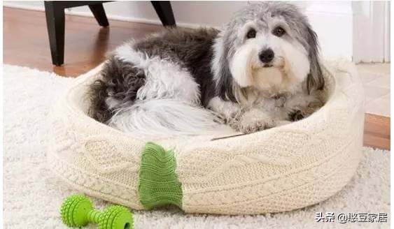 比Angelababy开眼角还可怕的事情，这里的垃圾堆成山，恶臭漫天！