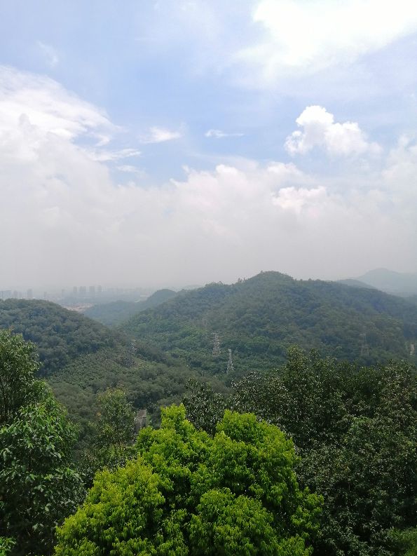 东莞旗峰公园掠影,东莞旗峰公园大体俯视图片