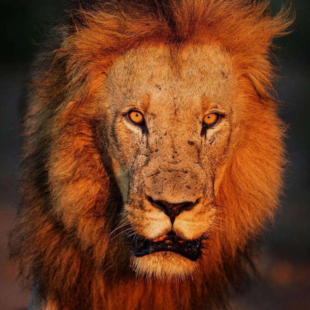 我们该怎么看世界,我们怎么看热刺