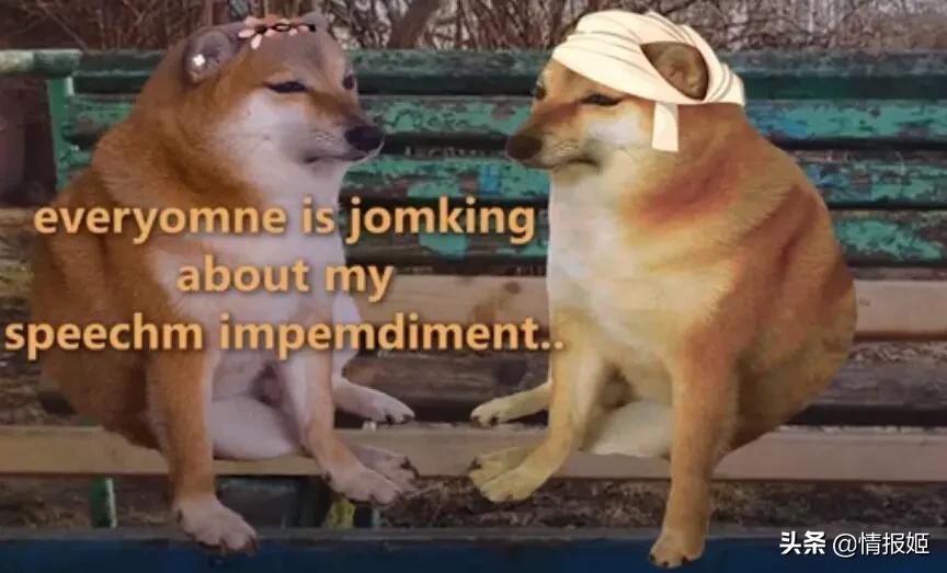 被做成表情包的柴犬doge,doge柴犬表情包万恶之源