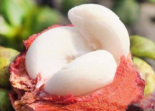 山竹应该怎么剥有什么小妙招,山竹要怎么剥才能剥出完整的果肉