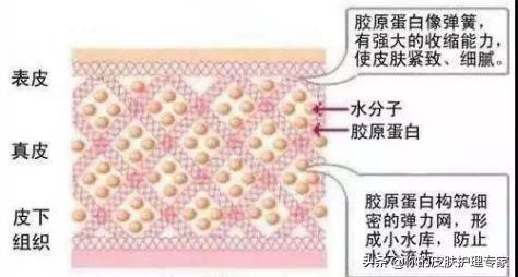 收缩毛孔胶原蛋白精华液,胶原蛋白能缩小毛孔吗