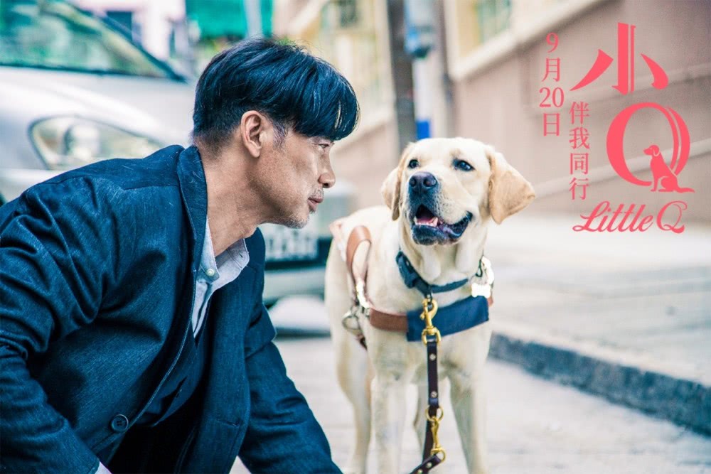 你有被人坚定的选择过吗原视频,你有被人坚定的选择过吗