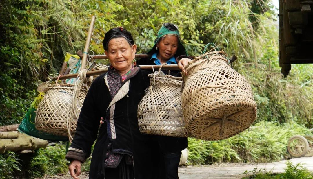 贵州黄岗侗寨优美视频,黄岗侗寨全景视频