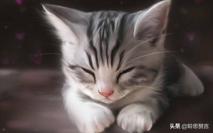 咏猫诗陆游,咏猫陆游