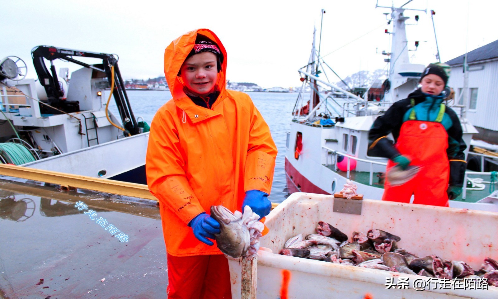 砸锅卖铁省吃俭用供你上大学,砸锅卖铁供你读书这句话对吗