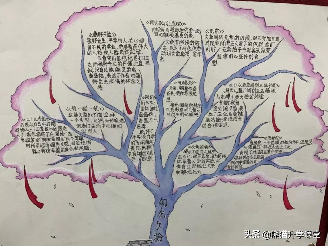 2020年重庆十八中招生人数,重庆十八中初中部招生条件