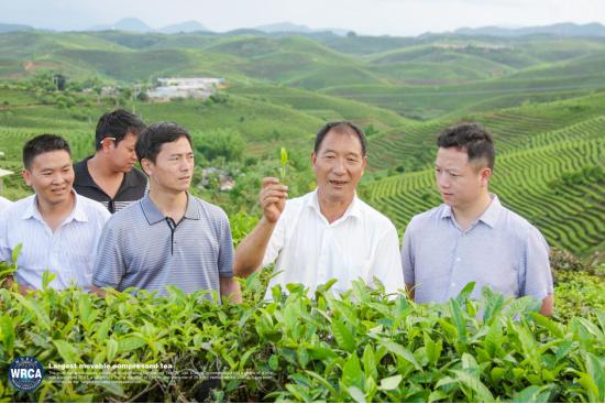 WRCA×龙园号：“世界最大的可移动茶柱”通过世界纪录认证