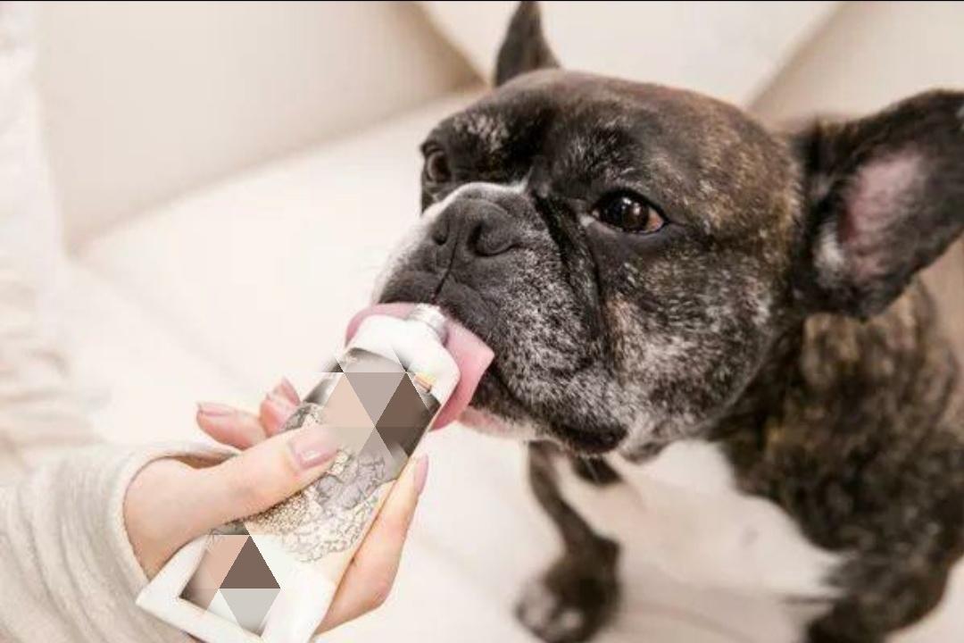 狗狗多大穿营养膏,狗狗营养膏开封几个月还能吃吗