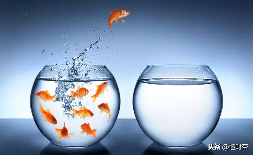 虚拟银行zabank,虚拟银行数字化