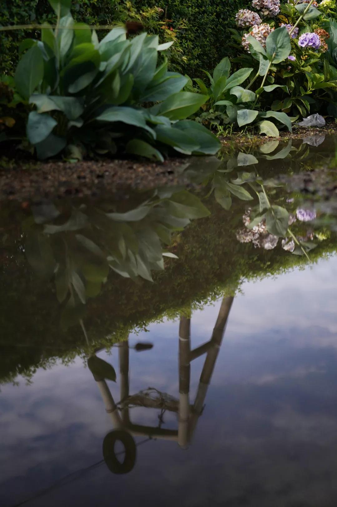 建一座完全不打药的生态花园,所有生命在这里和谐共处,值得收藏