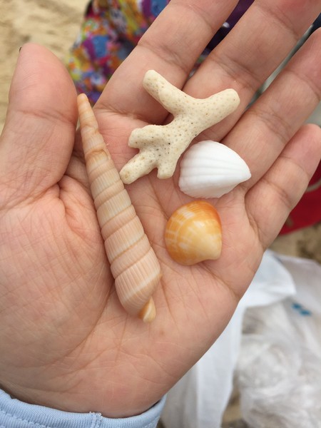 亚龙湾4天三晚,三亚7天6晚红树林