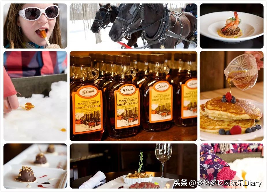 115年历史的枫糖农场居然离家这么近?还免费发糖?