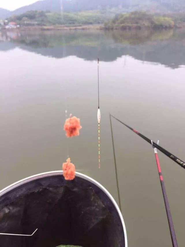 第一年野钓,新年第一钓钓鱼视频