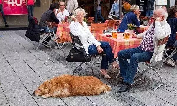 男子被一条狗疯咬,男子被狗追咬全身缝300多针