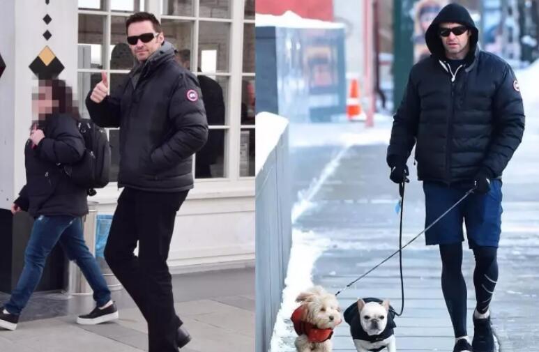 都说鹅绒贵为什么售价比鸭绒便宜,加拿大鹅和蒙克羽绒服哪件比较好