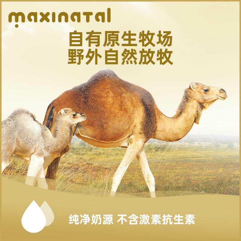 Maxinatal|来自澳洲北领地的营养配方驼奶粉