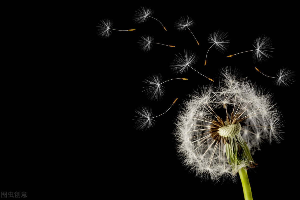 京喜无货源店铺运营,京喜无货源店群空降电商圈