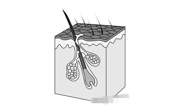 怎么样收缩毛孔改善脸部出油,油性皮肤收缩毛孔最有效的方法