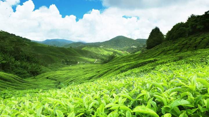 高难度桌游推荐,一生必玩的81款桌游