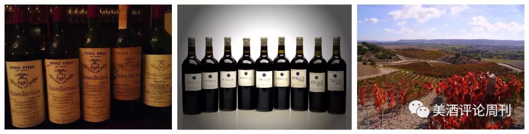 最贵、最知名、最超值、最具潜力！充满「最」的超级话题性产区