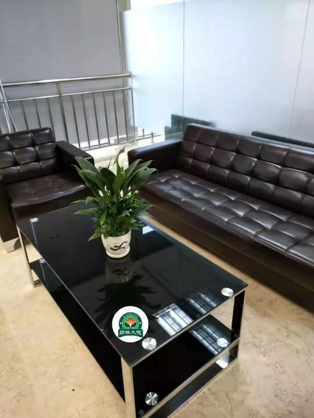 绿植花卉出租多少钱,佛山南海区花卉绿植租赁效果图