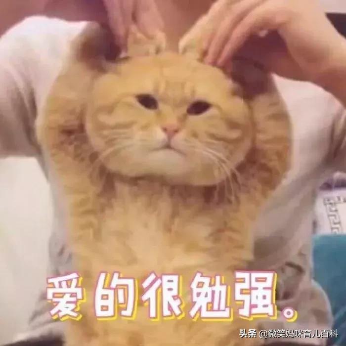 卸货后屁股酸痛怎么回事,卸货肩膀疼怎么办